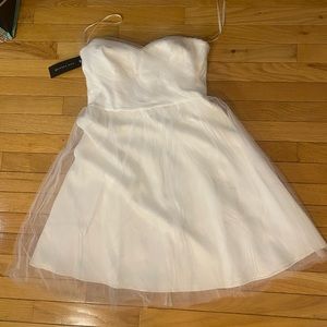 New Ann Taylor Silk Tulle Strapless Dress
